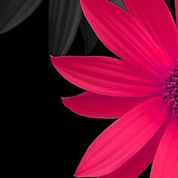 Meet your Posher, Destiny - Picture 1 of 1